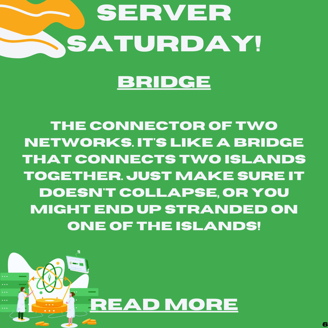 Server Saturday: Understanding the Role of Bridges in Connecting Networks